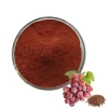 Grape Seed Extract